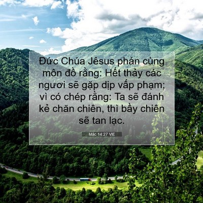 Picture 07 - Mác 14:27 VIE - Đức Chúa Jêsus phán cùng môn đồ - Bible Verse Picture