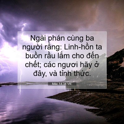 Picture 07 - Mác 14:34 VIE - Ngài phán cùng ba người rằng: Linh-hồn - Bible Verse Picture