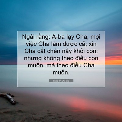 Picture 07 - Mác 14:36 VIE - Ngài rằng: A-ba lạy Cha, mọi việc Cha - Bible Verse Picture