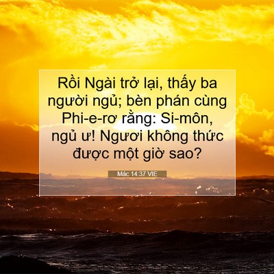 Picture 07 - Mác 14:37 VIE - Rồi Ngài trở lại, thấy ba người - Bible Verse Picture