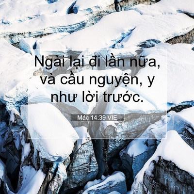 Picture 07 - Mác 14:39 VIE - Ngài lại đi lần nữa, và cầu nguyện, - Bible Verse Picture