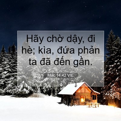 Picture 07 - Mác 14:42 VIE - Hãy chờ dậy, đi hè; kìa, đứa phản ta - Bible Verse Picture