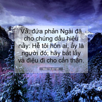 Picture 07 - Mác 14:44 VIE - Vả, đứa phản Ngài đã cho chúng dấu - Bible Verse Picture