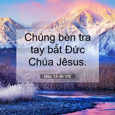 Picture 07 - Mác 14:46 VIE - Chúng bèn tra tay bắt Đức Chúa - Bible Verse Picture