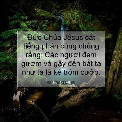 Picture 07 - Mác 14:48 VIE - Đức Chúa Jêsus cất tiếng phán cùng - Bible Verse Picture