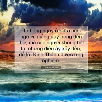 Picture 07 - Mác 14:49 VIE - Ta hằng ngày ở giữa các ngươi, giảng - Bible Verse Picture