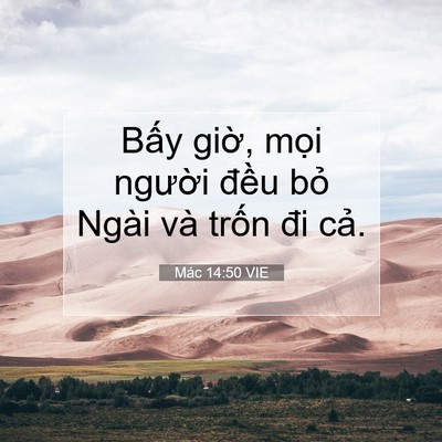 Picture 07 - Mác 14:50 VIE - Bấy giờ, mọi người đều bỏ Ngài và - Bible Verse Picture