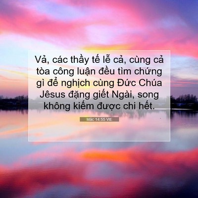 Picture 07 - Mác 14:55 VIE - Vả, các thầy tế lễ cả, cùng cả tòa - Bible Verse Picture