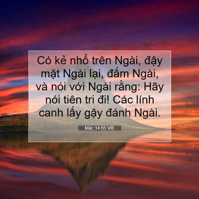 Picture 07 - Mác 14:65 VIE - Có kẻ nhổ trên Ngài, đậy mặt Ngài - Bible Verse Picture