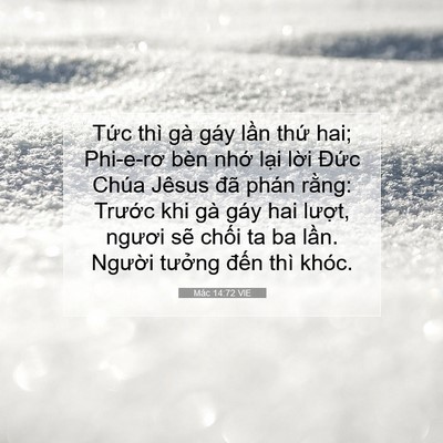 Picture 07 - Mác 14:72 VIE - Tức thì gà gáy lần thứ hai; Phi-e-rơ - Bible Verse Picture