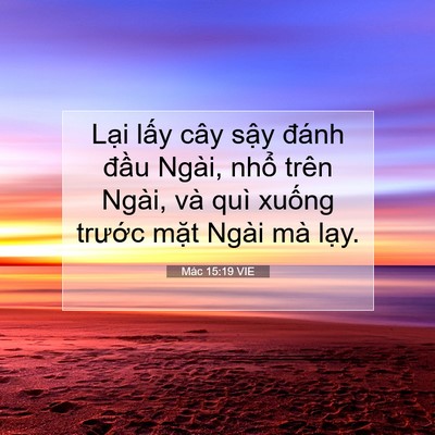 Picture 07 - Mác 15:19 VIE - Lại lấy cây sậy đánh đầu Ngài, nhổ - Bible Verse Picture