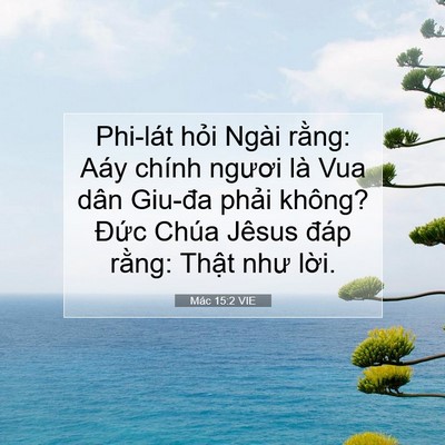 Picture 07 - Mác 15:2 VIE - Phi-lát hỏi Ngài rằng: Aáy chính ngươi - Bible Verse Picture
