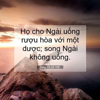 Picture 07 - Mác 15:23 VIE - Họ cho Ngài uống rượu hòa với một - Bible Verse Picture