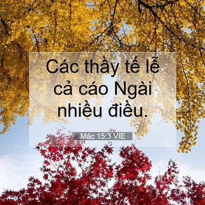 Picture 07 - Mác 15:3 VIE - Các thầy tế lễ cả cáo Ngài nhiều - Bible Verse Picture