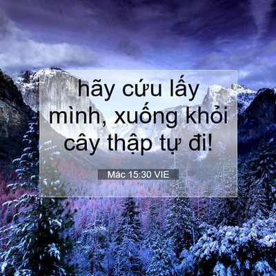 Picture 07 - Mác 15:30 VIE - hãy cứu lấy mình, xuống khỏi cây - Bible Verse Picture