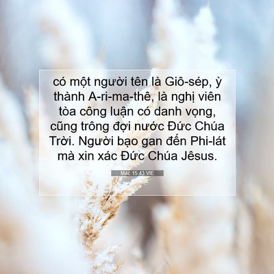 Picture 07 - Mác 15:43 VIE - có một người tên là Giô-sép, ỳ thành - Bible Verse Picture