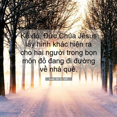 Picture 07 - Mác 16:12 VIE - Kế đó, Đức Chúa Jêsus lấy hình khác - Bible Verse Picture