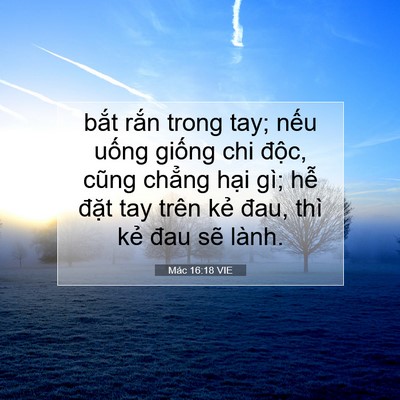 Picture 07 - Mác 16:18 VIE - bắt rắn trong tay; nếu uống giống chi - Bible Verse Picture