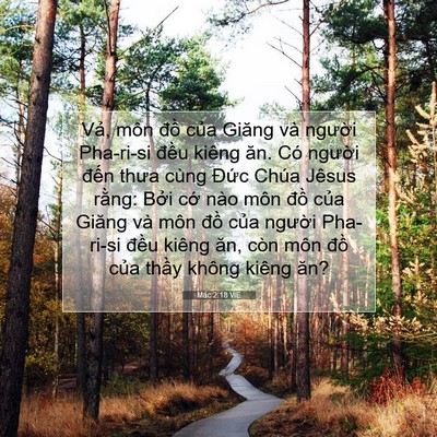 Picture 07 - Mác 2:18 VIE - Vả, môn đồ của Giăng và người - Bible Verse Picture