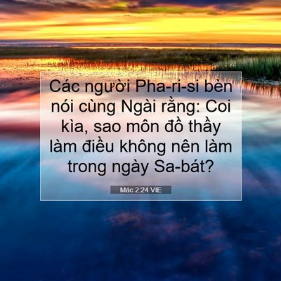Picture 07 - Mác 2:24 VIE - Các người Pha-ri-si bèn nói cùng Ngài - Bible Verse Picture