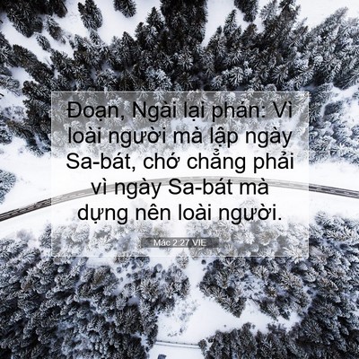 Picture 07 - Mác 2:27 VIE - Đoạn, Ngài lại phán: Vì loài người - Bible Verse Picture
