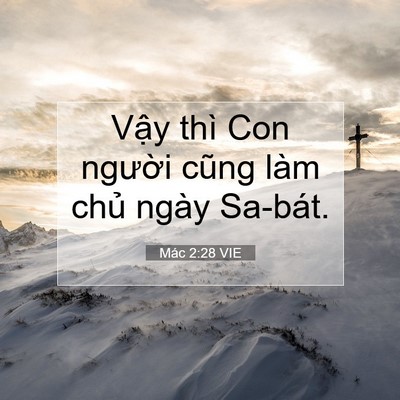 Picture 07 - Mác 2:28 VIE - Vậy thì Con người cũng làm chủ ngày - Bible Verse Picture