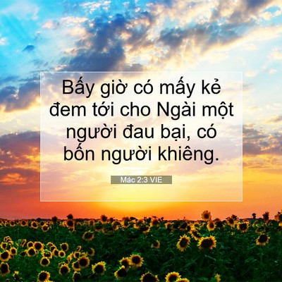 Picture 07 - Mác 2:3 VIE - Bấy giờ có mấy kẻ đem tới cho Ngài - Bible Verse Picture