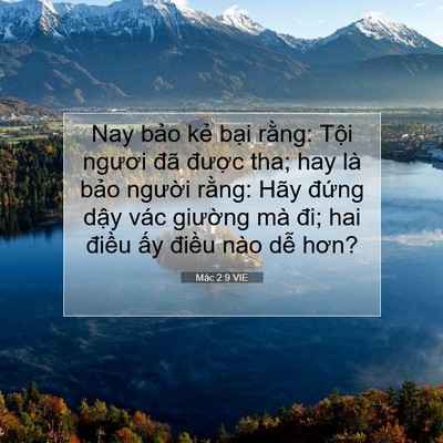 Picture 07 - Mác 2:9 VIE - Nay bảo kẻ bại rằng: Tội ngươi đã - Bible Verse Picture