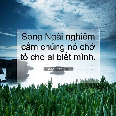 Picture 07 - Mác 3:12 VIE - Song Ngài nghiêm cấm chúng nó chớ tỏ - Bible Verse Picture