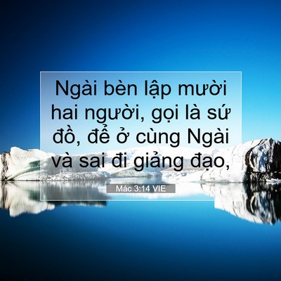 Picture 07 - Mác 3:14 VIE - Ngài bèn lập mười hai người, gọi là - Bible Verse Picture