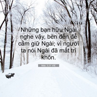 Picture 07 - Mác 3:21 VIE - Những bạn hữu Ngài nghe vậy, bèn đến - Bible Verse Picture