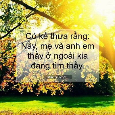 Picture 07 - Mác 3:32 VIE - Có kẻ thưa rằng: Nầy, mẹ và anh em - Bible Verse Picture
