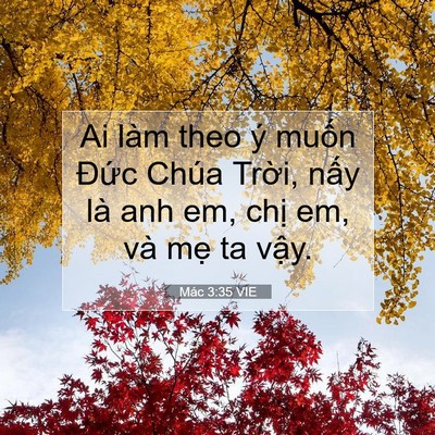 Picture 07 - Mác 3:35 VIE - Ai làm theo ý muốn Đức Chúa Trời, nấy - Bible Verse Picture