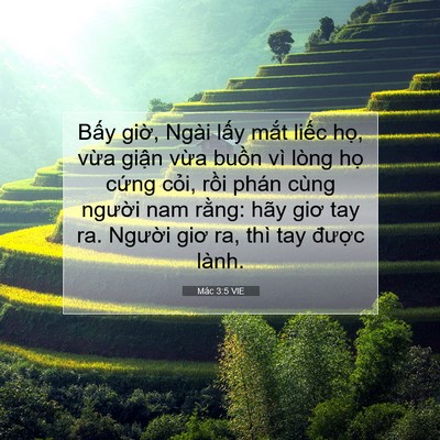 Picture 07 - Mác 3:5 VIE - Bấy giờ, Ngài lấy mắt liếc họ, vừa - Bible Verse Picture