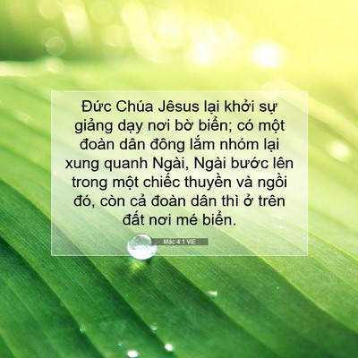 Picture 07 - Mác 4:1 VIE - Đức Chúa Jêsus lại khởi sự giảng - Bible Verse Picture