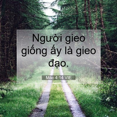 Picture 07 - Mác 4:14 VIE - Người gieo giống ấy là gieo - Bible Verse Picture