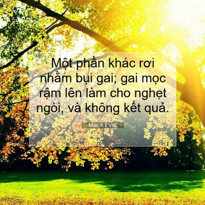Picture 07 - Mác 4:7 VIE - Một phần khác rơi nhằm bụi gai; gai - Bible Verse Picture