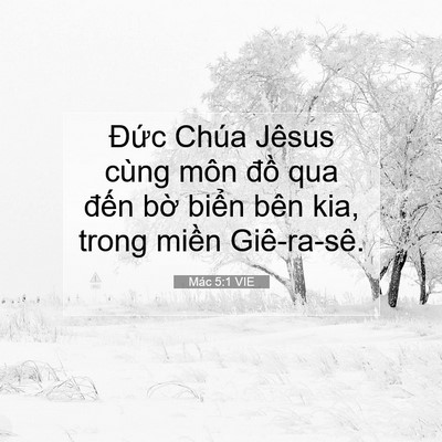 Picture 07 - Mác 5:1 VIE - Đức Chúa Jêsus cùng môn đồ qua đến - Bible Verse Picture