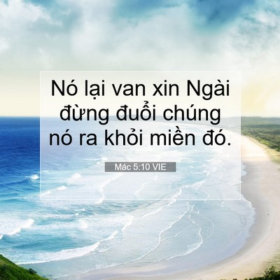 Picture 07 - Mác 5:10 VIE - Nó lại van xin Ngài đừng đuổi chúng - Bible Verse Picture