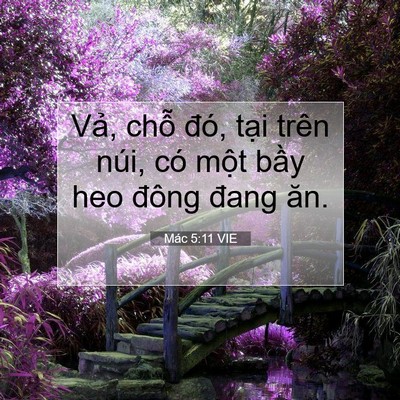 Picture 07 - Mác 5:11 VIE - Vả, chỗ đó, tại trên núi, có một - Bible Verse Picture