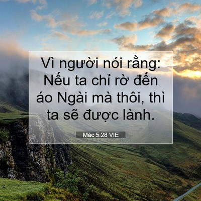 Picture 07 - Mác 5:28 VIE - Vì người nói rằng: Nếu ta chỉ rờ - Bible Verse Picture