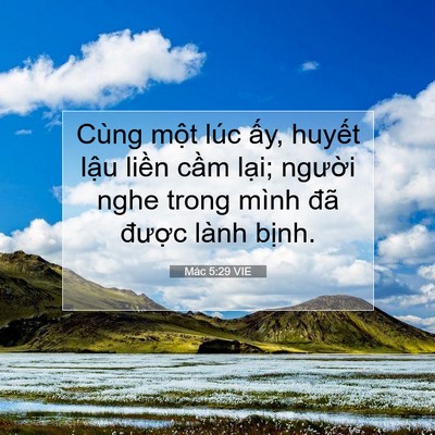 Picture 07 - Mác 5:29 VIE - Cùng một lúc ấy, huyết lậu liền cầm - Bible Verse Picture