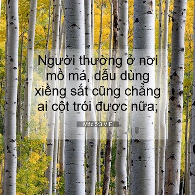 Picture 07 - Mác 5:3 VIE - Người thường ở nơi mồ mả, dẫu - Bible Verse Picture