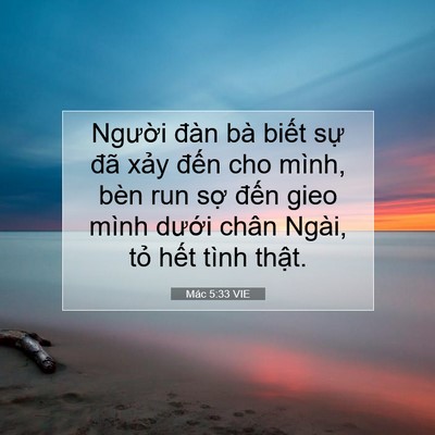 Picture 07 - Mác 5:33 VIE - Người đàn bà biết sự đã xảy đến - Bible Verse Picture