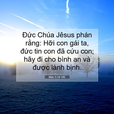Picture 07 - Mác 5:34 VIE - Đức Chúa Jêsus phán rằng: Hỡi con gái - Bible Verse Picture