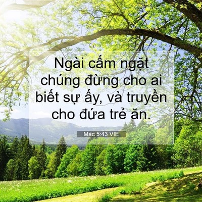 Picture 07 - Mác 5:43 VIE - Ngài cấm ngặt chúng đừng cho ai biết - Bible Verse Picture