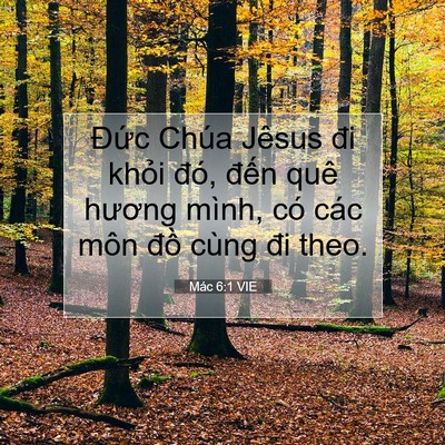 Picture 07 - Mác 6:1 VIE - Đức Chúa Jêsus đi khỏi đó, đến quê - Bible Verse Picture