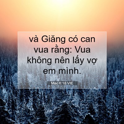 Picture 07 - Mác 6:18 VIE - và Giăng có can vua rằng: Vua không nên - Bible Verse Picture
