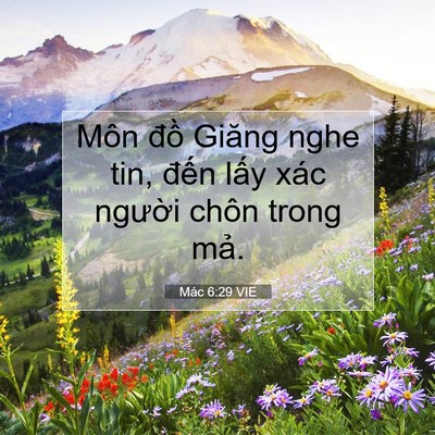 Picture 07 - Mác 6:29 VIE - Môn đồ Giăng nghe tin, đến lấy xác - Bible Verse Picture
