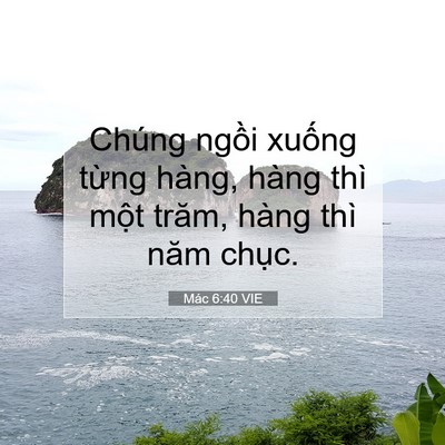 Picture 07 - Mác 6:40 VIE - Chúng ngồi xuống từng hàng, hàng thì - Bible Verse Picture